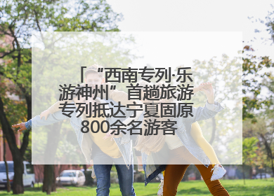 “西南专列·乐游神州”首趟旅游专列抵达宁夏固原 800余名游客开启清凉之旅