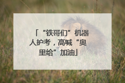 “铁哥们”机器人护考，高喊“奥里给”加油