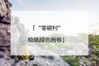 “零碳村” 绘就绿色画卷