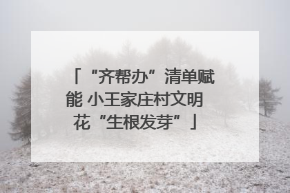 “齐帮办”清单赋能 小王家庄村文明花“生根发芽”