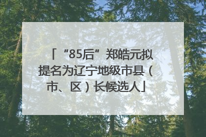“85后”郑皓元拟提名为辽宁地级市县（市、区）长候选人