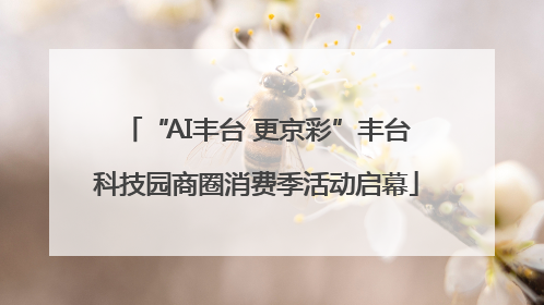 “AI丰台 更京彩”丰台科技园商圈消费季活动启幕