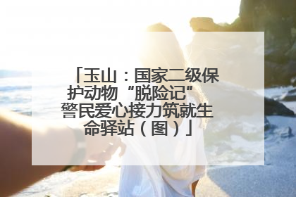 玉山：国家二级保护动物“脱险记” 警民爱心接力筑就生命驿站（图）