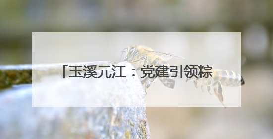 玉溪元江：党建引领粽飘香 邻里和谐庆佳节