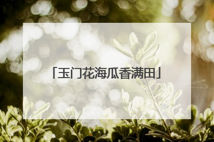 玉门花海瓜香满田