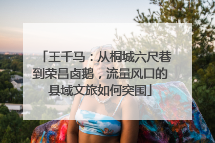王千马：从桐城六尺巷到荣昌卤鹅，流量风口的县域文旅如何突围