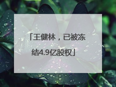 王健林，已被冻结4.9亿股权
