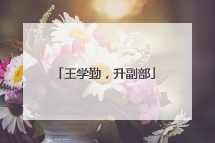 王学勤，升副部