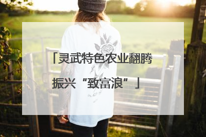 灵武特色农业翻腾振兴“致富浪”