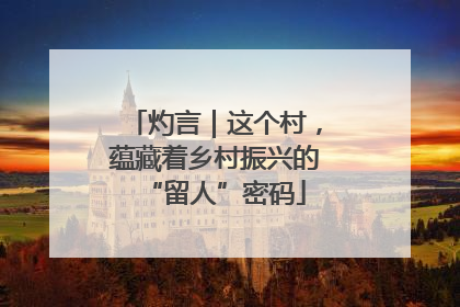 灼言｜这个村，蕴藏着乡村振兴的“留人”密码