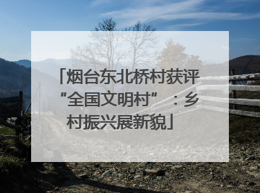 烟台东北桥村获评“全国文明村”：乡村振兴展新貌