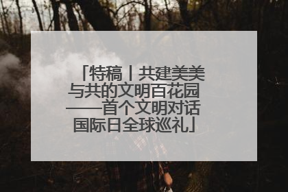特稿丨共建美美与共的文明百花园——首个文明对话国际日全球巡礼