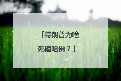特朗普为啥死磕哈佛？