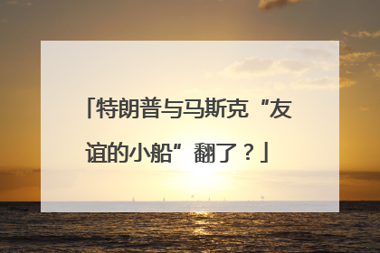 特朗普与马斯克“友谊的小船”翻了？