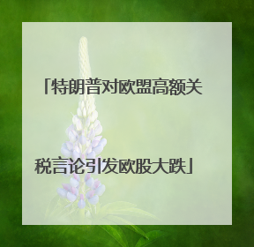 特朗普对欧盟高额关税言论引发欧股大跌