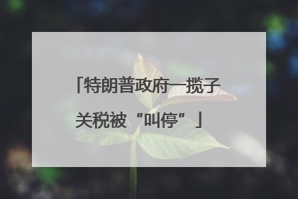 特朗普政府一揽子关税被“叫停”