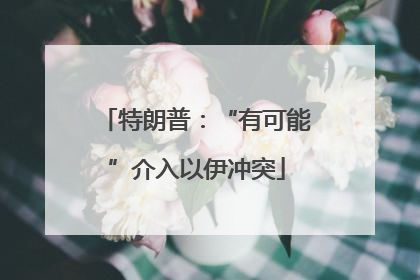特朗普：“有可能”介入以伊冲突