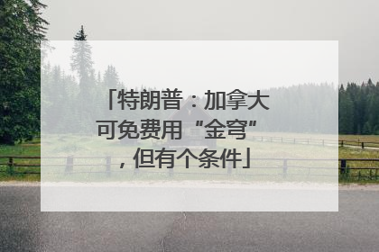特朗普：加拿大可免费用“金穹”，但有个条件