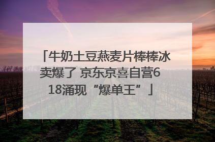 牛奶土豆燕麦片棒棒冰卖爆了 京东京喜自营618涌现“爆单王”