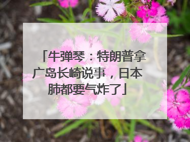 牛弹琴：特朗普拿广岛长崎说事，日本肺都要气炸了