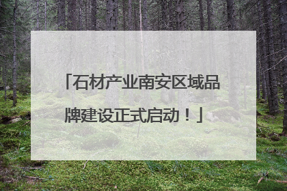 石材产业南安区域品牌建设正式启动！