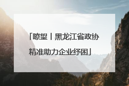 瞭望丨黑龙江省政协精准助力企业纾困