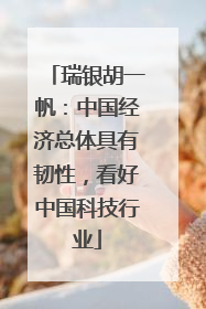 瑞银胡一帆：中国经济总体具有韧性，看好中国科技行业