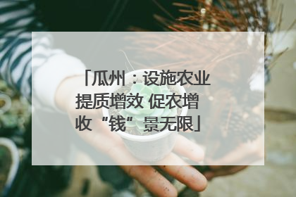 瓜州：设施农业提质增效 促农增收“钱”景无限