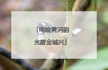 电绘黄河韵 光耀金城兴