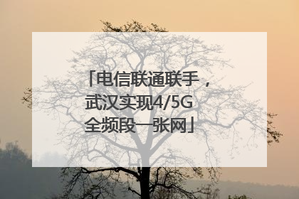 电信联通联手，武汉实现4/5G全频段一张网