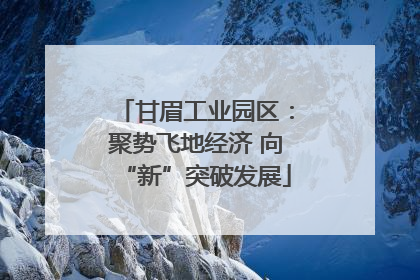 甘眉工业园区：聚势飞地经济 向“新”突破发展
