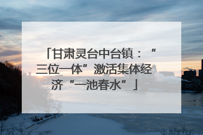 甘肃灵台中台镇：“三位一体”激活集体经济“一池春水”