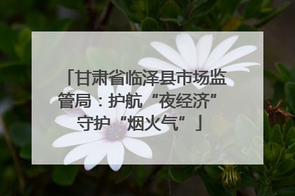 甘肃省临泽县市场监管局：护航“夜经济” 守护“烟火气”
