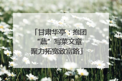 甘肃华亭：抱团“蔬”写菜文章 聚力拓宽致富路