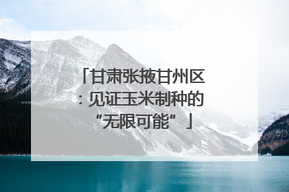 甘肃张掖甘州区：见证玉米制种的“无限可能”
