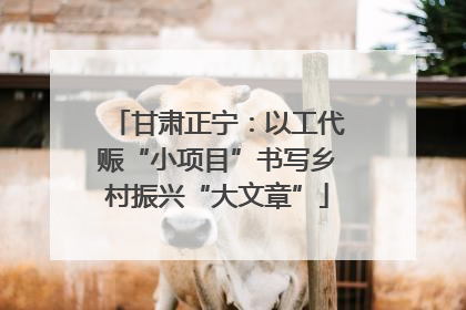 甘肃正宁：以工代赈“小项目”书写乡村振兴“大文章”