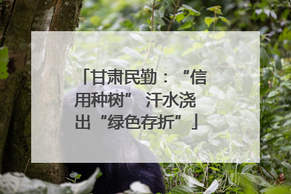 甘肃民勤：“信用种树” 汗水浇出“绿色存折”