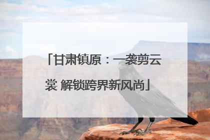 甘肃镇原：一袭剪云裳 解锁跨界新风尚