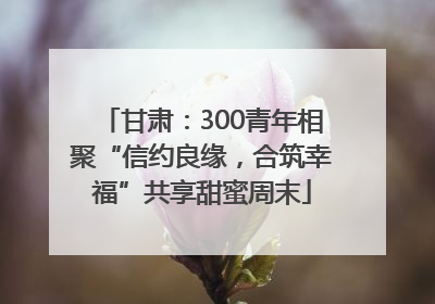甘肃：300青年相聚“信约良缘，合筑幸福”共享甜蜜周末