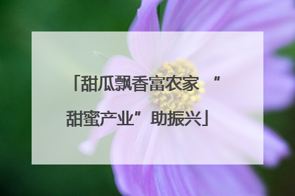 甜瓜飘香富农家 “甜蜜产业”助振兴
