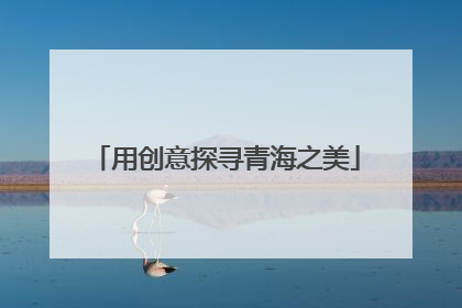 用创意探寻青海之美