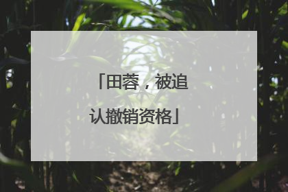 田蓉，被追认撤销资格
