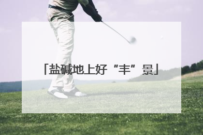 盐碱地上好“丰”景