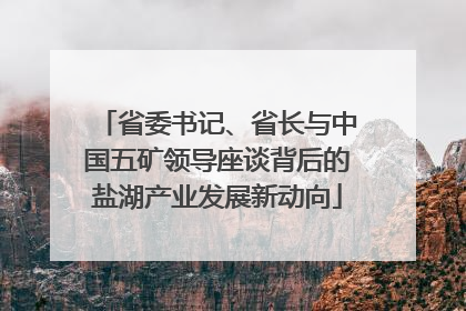 省委书记、省长与中国五矿领导座谈背后的盐湖产业发展新动向