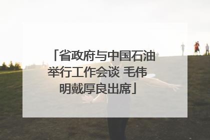 省政府与中国石油举行工作会谈 毛伟明戴厚良出席