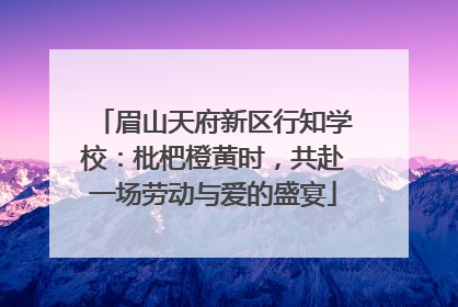 眉山天府新区行知学校：枇杷橙黄时，共赴一场劳动与爱的盛宴