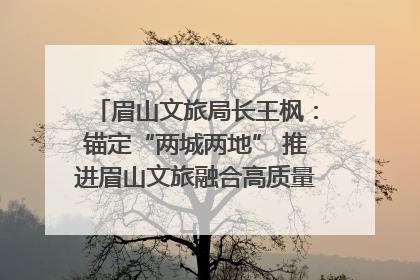 眉山文旅局长王枫：锚定“两城两地” 推进眉山文旅融合高质量发展｜文旅局长说