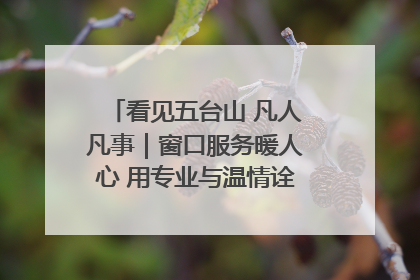 看见五台山 凡人凡事｜窗口服务暖人心 用专业与温情诠释责任担当