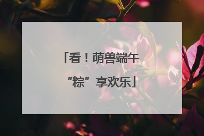 看！萌兽端午“粽”享欢乐