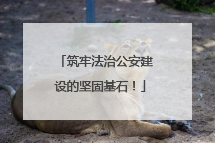 筑牢法治公安建设的坚固基石！